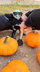 358K views · 3.8K reactions | El Marcianito CHAMBEADOR  #chamba #chambeador #miprimerachamba #trabajar #halloween #calabazas #humor #comedia #short #shorts #cute #alien #marciano #love | MarcianitoyYoshi | Facebook