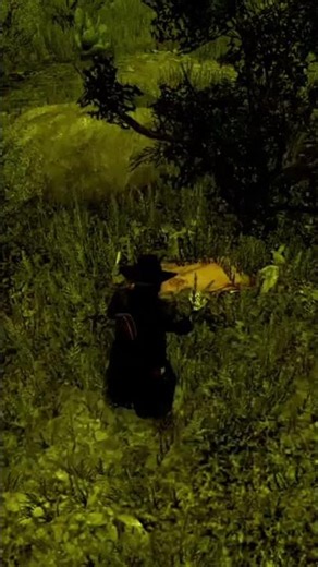 SITE MYSTÉRIEUX RED DEAD REDEMPTION UNDEAD NIGHTMARE