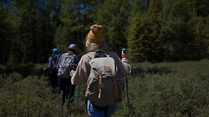 Woman, Forest, Hike. Free Stock Video