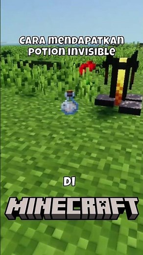 How to get Invisible Potion in Minecraft #minecraft