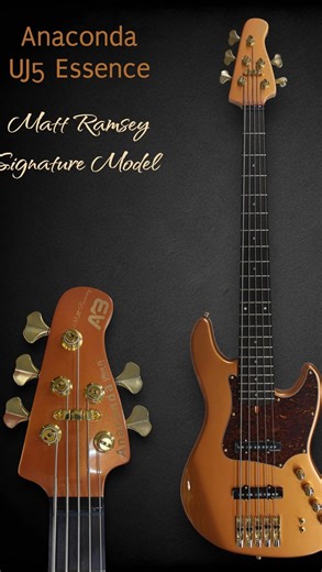 Matt Ramsey on Instagram: "CHECK IT OUT!! 🕺🏽🕺🏽 Excited To Partner With Anaconda Basses For The MATT RAMSEY SIGNATURE ! Available For Pre Order Soon.. 🙏🏽 TGBTG 🫶🏽 #love #music #mattramsey #explorepage #anacondabasses"