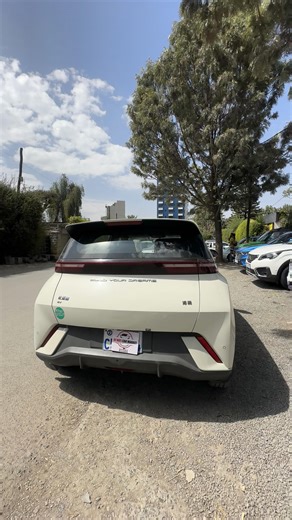 2024 BYD Segul for Sale in Addis Ababa