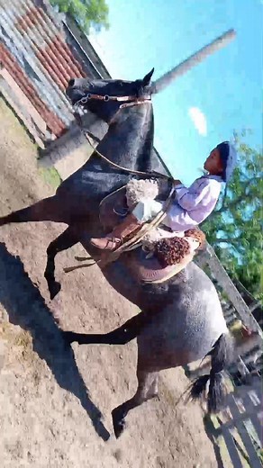 El loco de ganas de subir la yegua mora y le hicimos un costadito de apie 👌👌 | Wilson Carballo