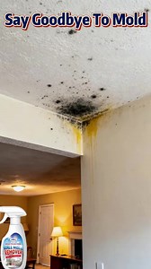 ⚡Spray, wait, mold gone — fast anti-mold wall cleaner that works in minutes! ⏱️🧴✨Say no to mildew — powerful spray restores your walls to clean & fresh fast! 💨🧼🏡 | Alisonpick