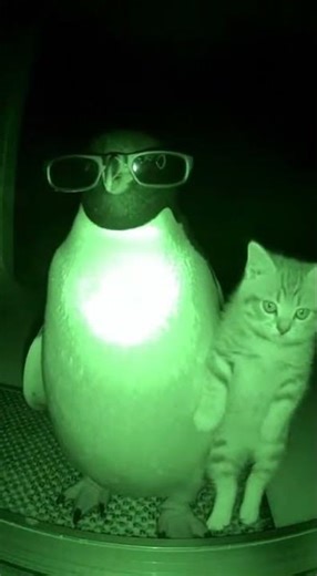 CCTV Horror Footage Night Vision Screamer Inside an Abandoned House