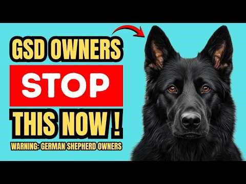 Avoid These 8 HUGE Mistakes New German Shepherd Owners Always Make! | Before It's Too Late!