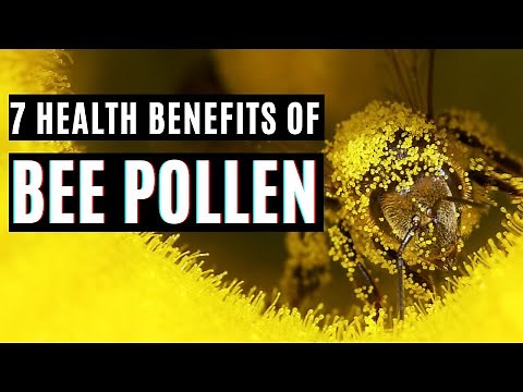 Don't Miss These 7 Amazing Bee Pollen Health Benefits! Bee Pollen is a True Superfood!
