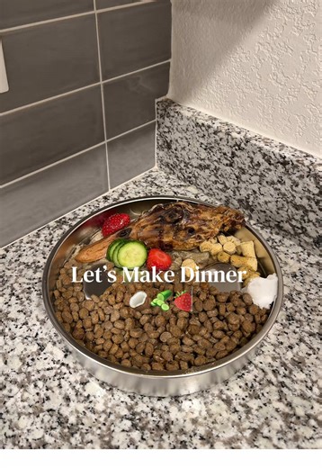 Healthy Dog Meal Recipe for Happy Pets