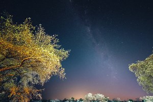 37 reactions · 4 comments | The SIGMA 14mm f1.8 DG HSM Art lens is the world's first full frame 14mm lens with a massive f1.8 aperture! This was shot in the Kruger National Park. Each photo settings: 10 sec / f2 / ISO 800 #sigma14mmf18 #nighttimelapse #sigmaphoto_sa Timelapse by Adam Affuta | SIGMA South Africa | Facebook