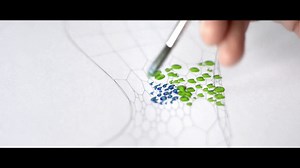 Programming Architecture - Voronax - Structural Engineering inspired by Nature