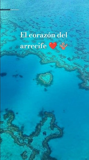 El corazón del arrecife ❤️🪸 La Gran Barrera de Coral, Australia #australia #greatbarrierreef