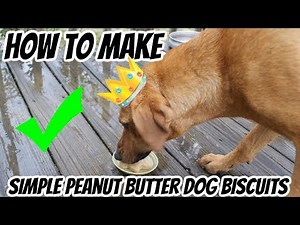 How to Make Simple Peanut Butter Dog Biscuits