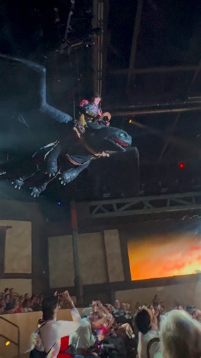 Toothless takes flight! 🐉 #howtotrainyourdragon #httyd #epicuniverse #fbdecchallenge | Sharp Productions