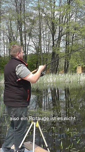 Dreamy forest lake: Fishing in the Czech Republic! #fishingvideo #fishingtrip