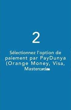 Comment payer sur un site avec PayDunya