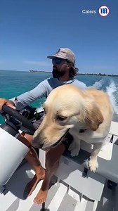 47K views · 1.2K reactions | This dog's life is nothing but smooth sailing! ☀️️ | Daily Mail Video | Facebook