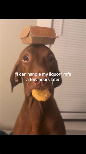I Can Handle My Liquor — Funny Bar Gym Clip About Drinking Regret
