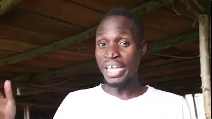 Layers Vs Broilers | Which is More PROFITABLE? . . #poultrybusiness #chickenfarming #farming #farm #farmlife #poultry #chickens #farmup #FarmUpChicks #DrDaniel #layers #broilers | Farm Up