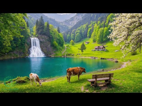 Beautiful Relaxing Music 🍀Calming Sounds for Healing & Inner Peace, Deep Sleep and Stress Relief
