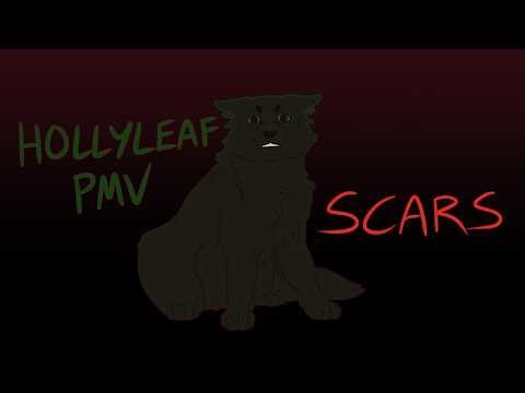 Scars - Hollyleaf PMV Remake [Warrior Cats]