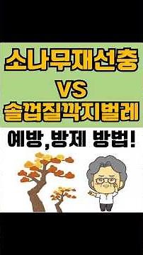 소나무재선충병과 솔껍질깍지벌레 방제법과 농약 비교