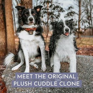 The Original Plush Cuddle Clone is a handmade stuffed animal designed to look JUST like your favorite pet 😻 Learn more --> | Cuddle Clones