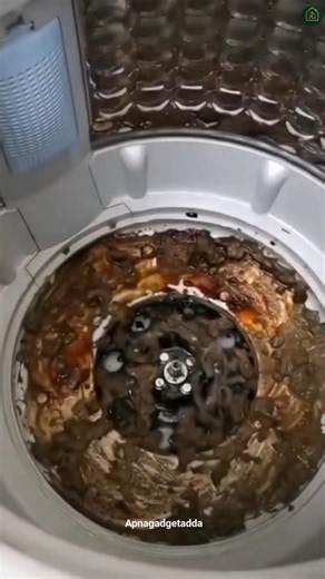 Washing Machine Cleaning Powder 😍 Washing Machine Drum Cleaner #shorts #gadgets