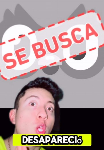 Duolingo Desaparece: ¿Qué Sucedió?
