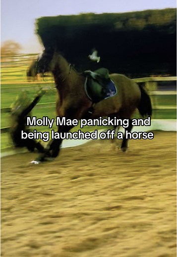 Molly Mae's Horse Riding Challenge: A Tough Experience