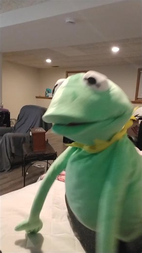 Kermit's Hilarious Face Smack Moment