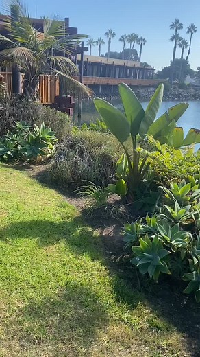 Paradise Point San Diego | Dr. Asad Ali Shah