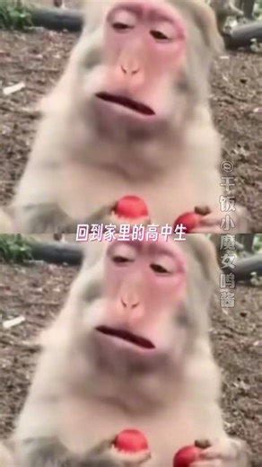 High School Basketball Star's Physics Rants Comedy StudentLife