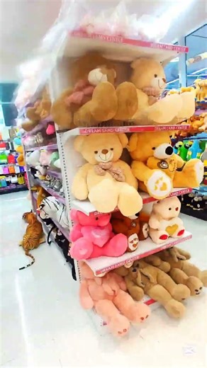 New open Dream Land supermarket 👌🇦🇪UAE. Abu sahara.Sharjah 🇦🇪 #dubai