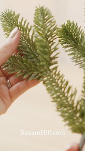 BH Fraser Fir or Classic Blue Spruce? Finally see the difference at home. Our Branch Sample Kit eliminates the stress of choosing—so you can focus on the fun part: decorating! | Balsam Hill