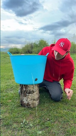 ✅ The guy shows SURVIVAL skills: I patched a hole in a huge bucket in the Wilderness 🪣💦