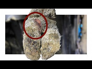 It Was OOZING BEFORE I EVEN STARTED