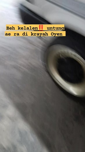 iso-iso ne mari ngrambah manuk di tinggal, slamet-slamet 🙉‼️. #kicaumania #Hobyburung #Tirajayapakan | Tirajaya Pakan