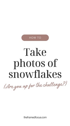 Holly Awwad- Nature Account on Instagram: "Snowflake photo tips 👇🏻❄️ 1️⃣ Weather: Not all snow is right for photographing snowflakes. First, it has to be COLD. Ideally I find 20 degrees F (-7 C) to be cold enough for snow to fall in single flakes and retain their shape without melting too quickly. You don’t want heavy clumpy snow that comes with warmer snowfalls. Also, it’s important that there isn’t a lot of wind to ensure your snowflake doesn’t blow away. 2️⃣ You’ll need to have the right ge