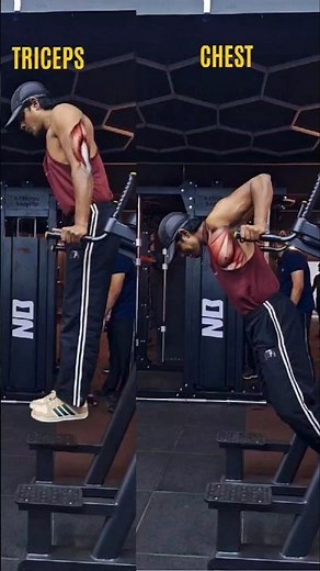 chest dips vs tricep dips