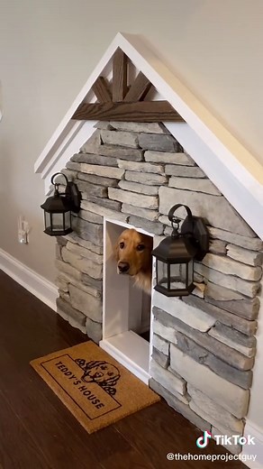Under Stairs Dog House Ideas for Your Golden Retriever