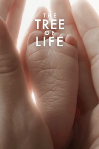 Stream The Tree of Life (2011): Find it on Netflix, Prime Video, Hulu & more
