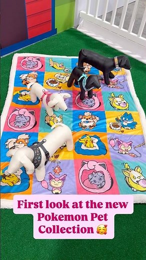 New Pokemon Pet Collection now available on Pokemon Center online! #pokemoncenter #pokemoncommunity