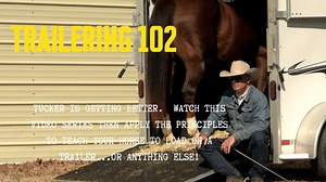 150K views · 2.8K reactions | How to Ride a Cheeky Filly Preview #HorseTraining #B1 #beoneofus #BEONE #EpicSuccess #ES20 #Respectthecode #BeOne #BeONE | B1 Horsemanship | Facebook