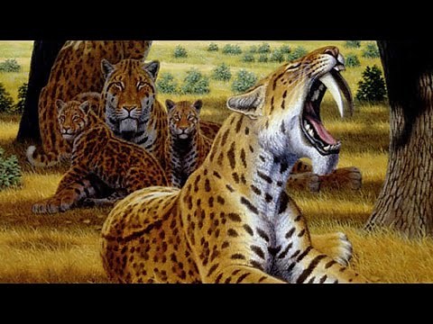 Machairodontinae - The Saber-Toothed Cats
