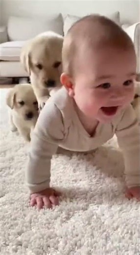 Labrador Puppy Tries to Climb on Baby’s Back | Cutest Baby & Puppy Moment