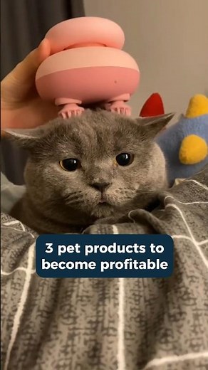 Trending Pet Products to Dropship