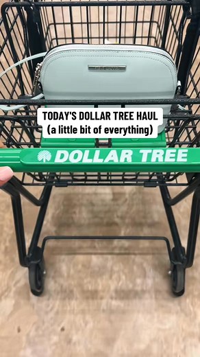 23K views · 404 reactions | having a bit of a dry spell recently, but there's always new things to find non the less 來 #dollartree #dollartreehaul #dollartreefinds #dollartreemusthaves #dollartreeshopping #newatdollartree #dollartreebeautyfinds #momlife | Assunta Raynor | Facebook