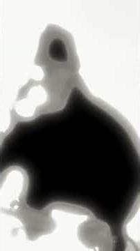 Crazy cover of Hey Joe - Jimi Hendrix - Only clean Stratocaster and Fender Pro Junior.