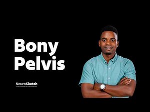 Anatomy of the Bony Pelvis: Hip Bone, Joints and Ligaments)
