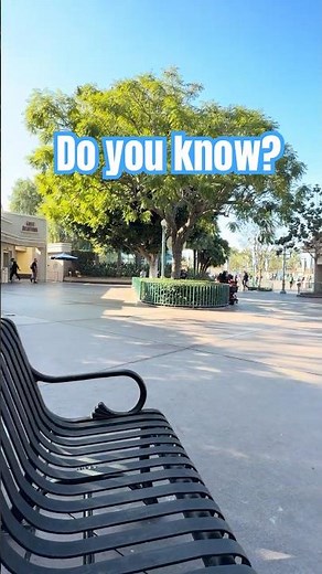 Can You Guess Where This Disney Bench Is? #Disney #Disneyland